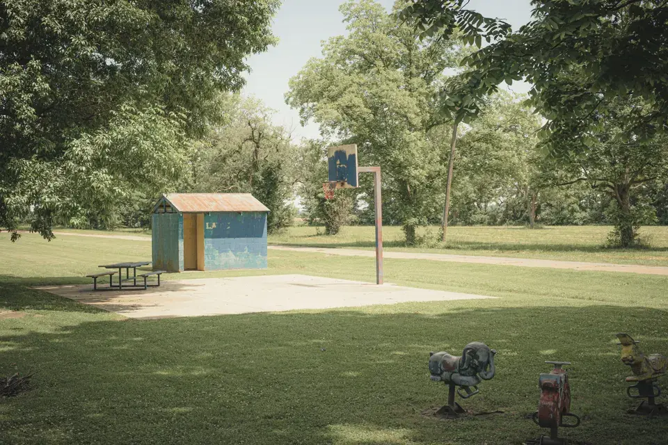 mold removal Country Homes